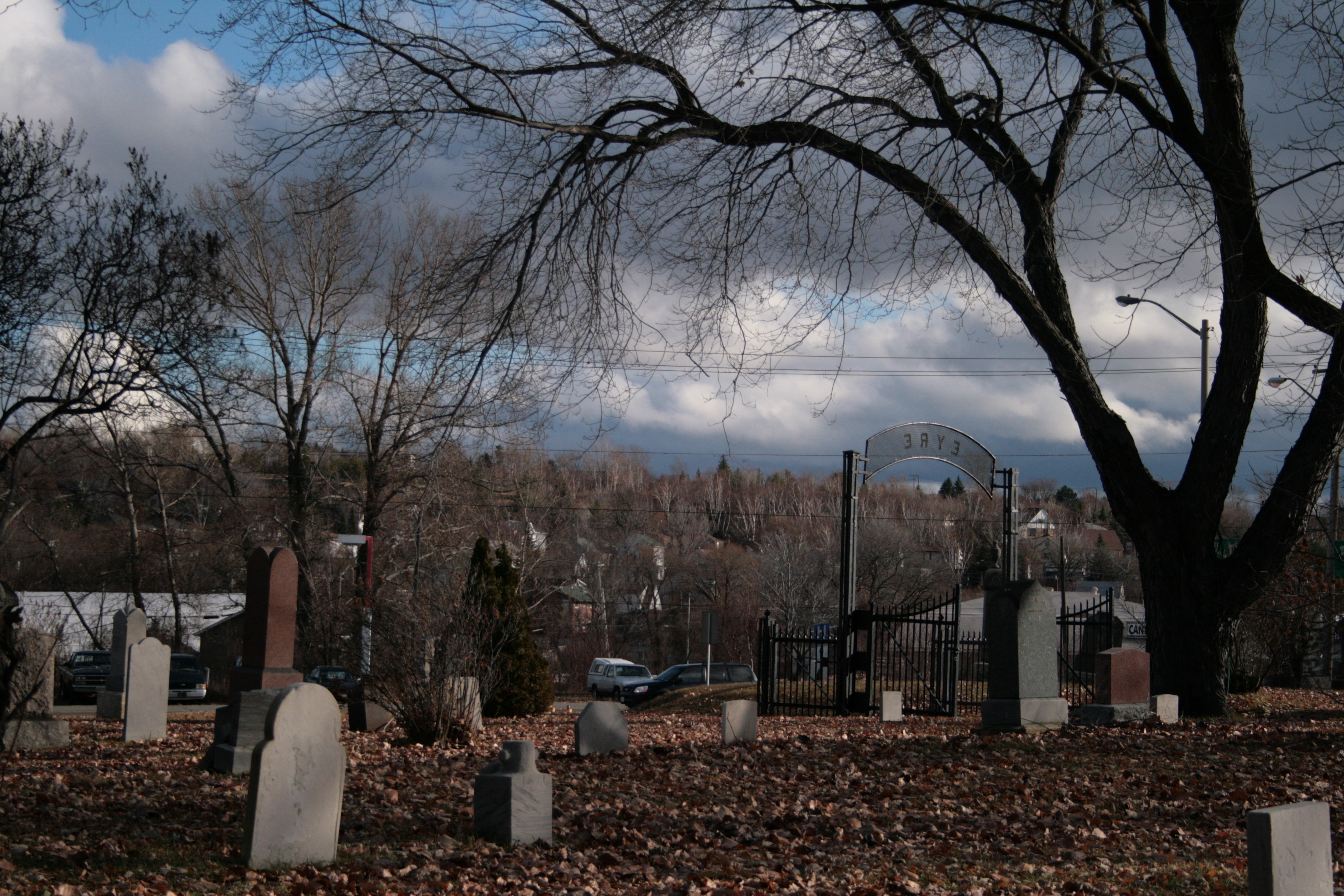 A bare tree in a cemetery in the fall