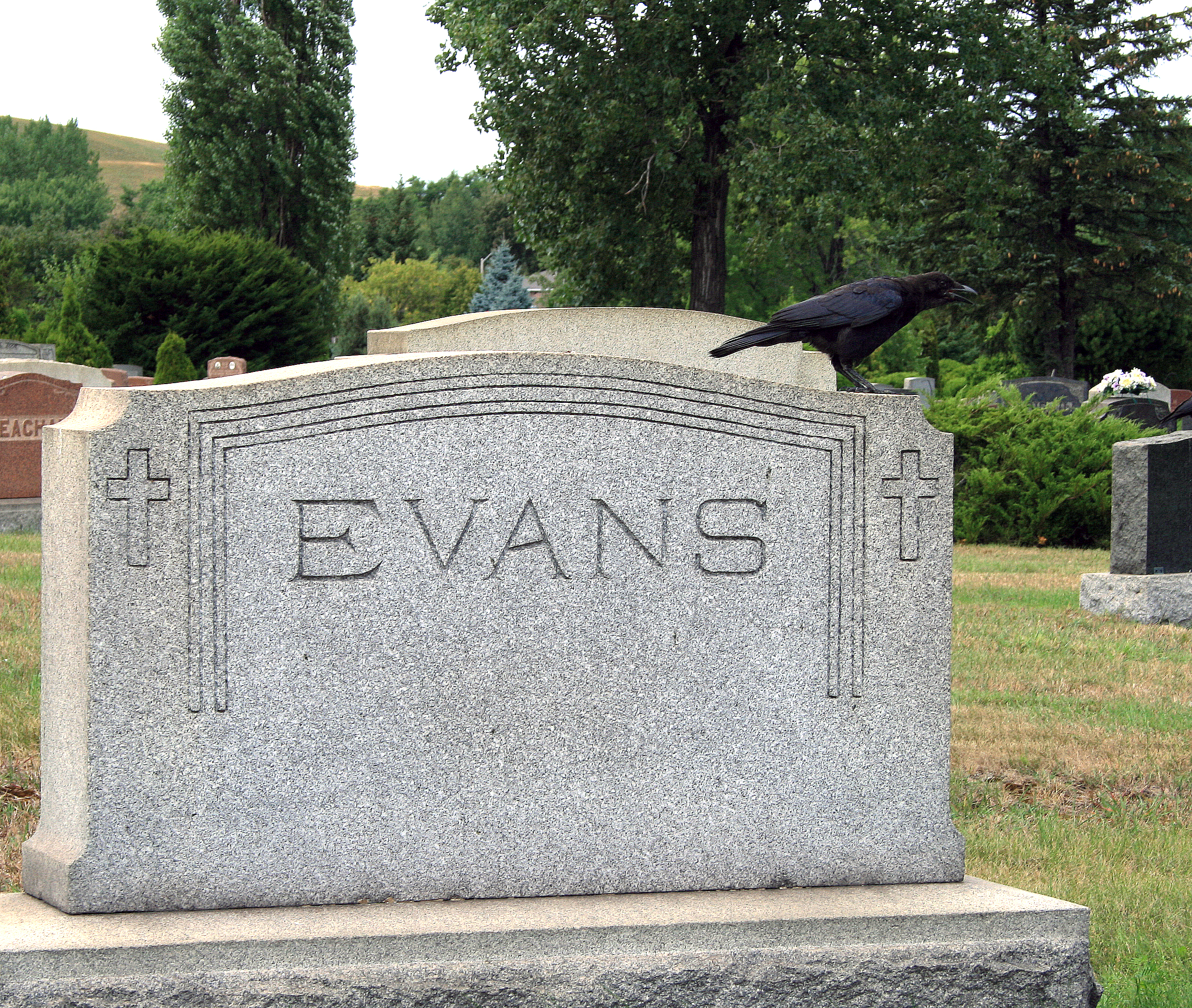 A tombstone that reads "Evans", with a black raven perched on top of it