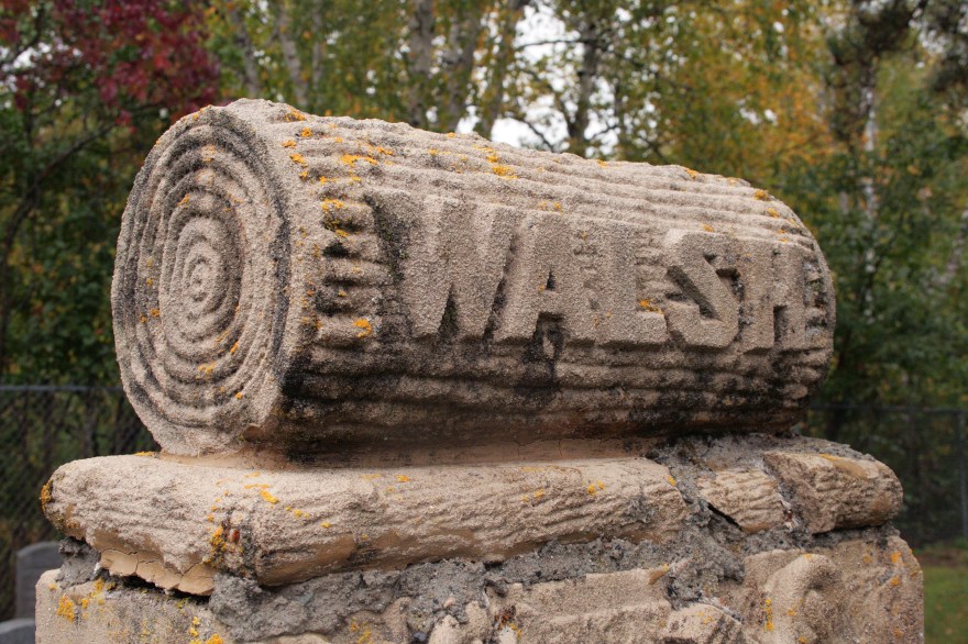 A tree stone with the name Walsh engraved on it