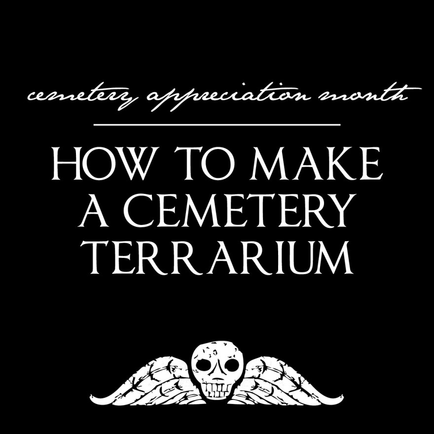 Cemetery Appreciation Month: How to make a Cemetery Terrarium