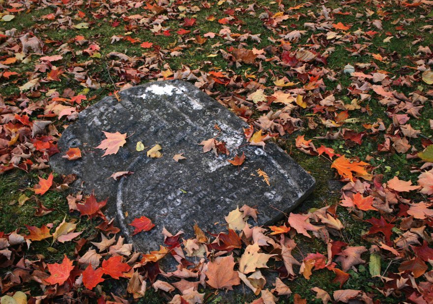 A gravestone covered in red fall leaves