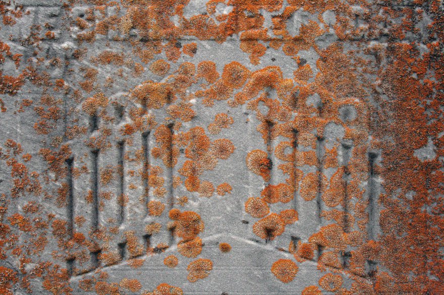 The gates ajar, covered in orange lichen
