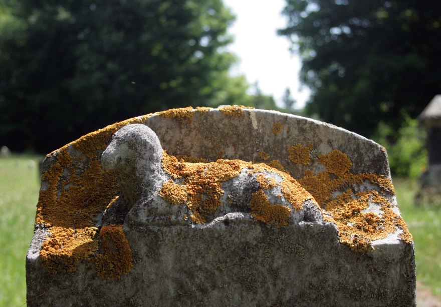 Glencairn Cemetery, Glencairn ON ©2025