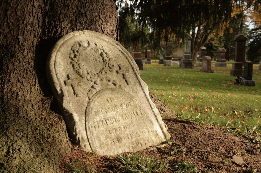 A worn gravestone leaning up against a big tree trunk.