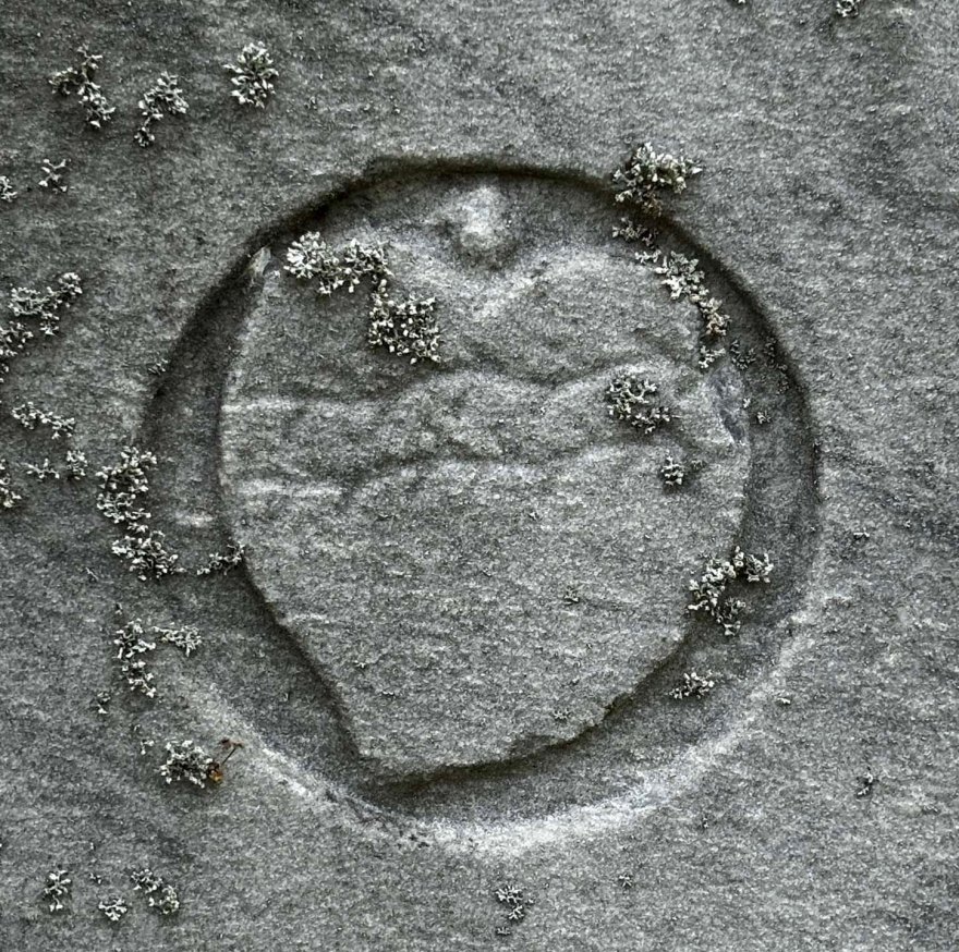 A heart wrapped in barbed wire