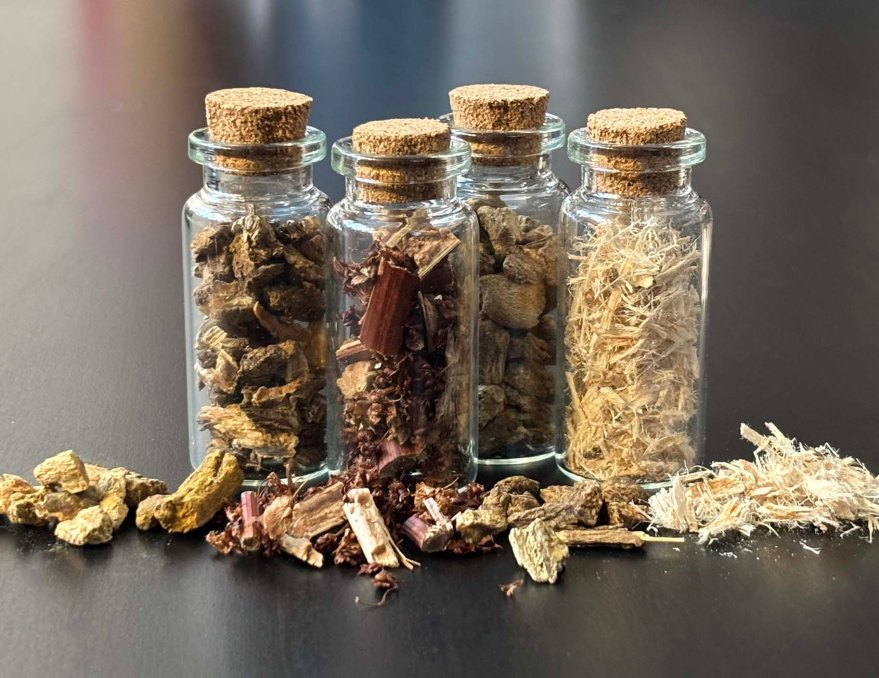 The main ingredients of ESSAIC; burdock root, sheep sorrel, rhubarb root, and slippery elm.